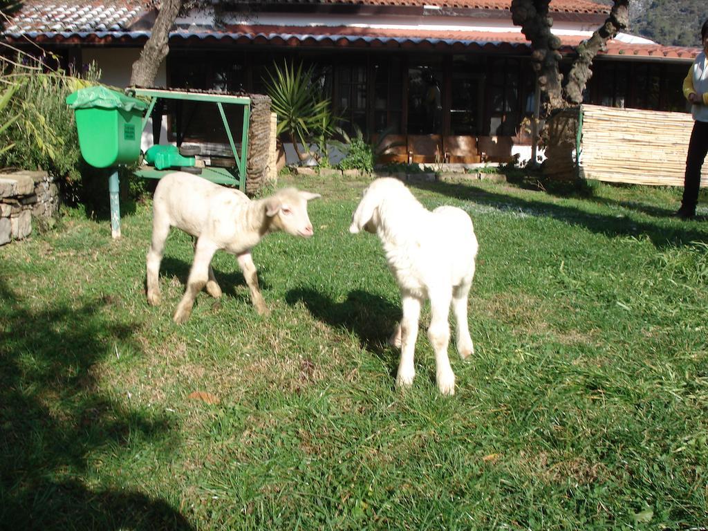 Agriturismo La Vecchia Dolceacqua Villa Dış mekan fotoğraf